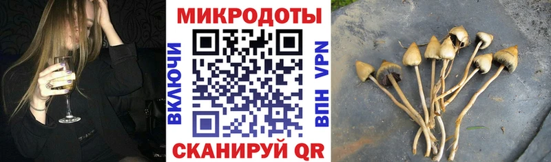 Купить  Спасск  Галлюциногенные грибы Psilocybe 